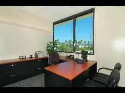 Window Office - Standard