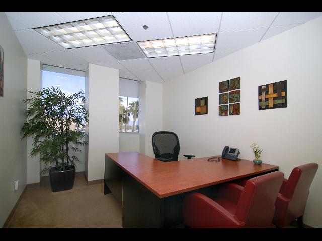 LFS PAN day office-7