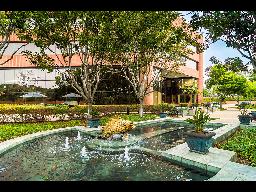 DM2 Exterior-1