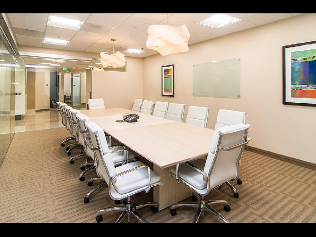 LFS DM2 Large Conference Room-7