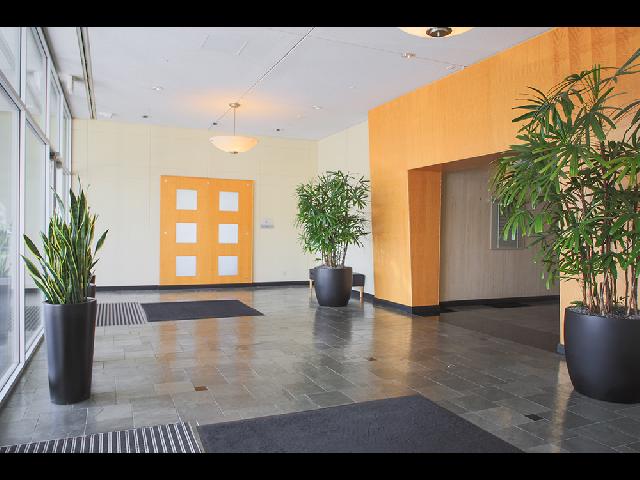 LFS SJ2 Lobby-12