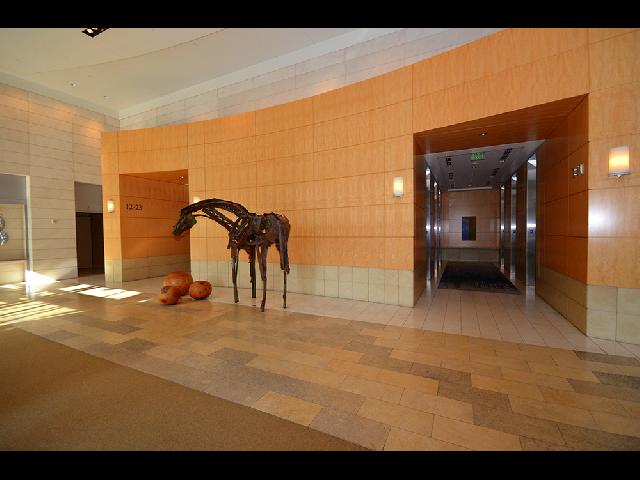 LFS SEA Building Lobby-2