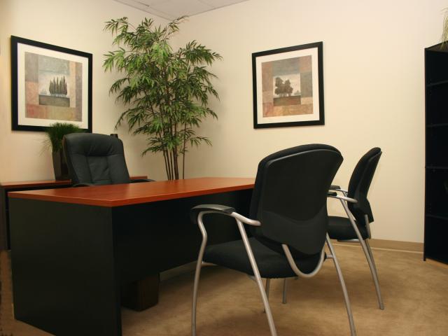 LFS Bellevue Office Sublets for Small Law Firms