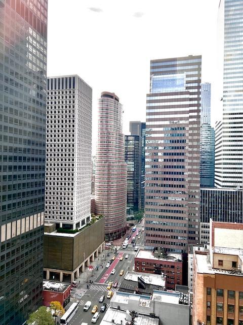 Beautiful unobstructed southern view down the avenue